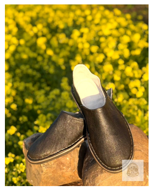 Handmade Moroccan Leather Babouches – Premium Artisan Slippers | Haytato