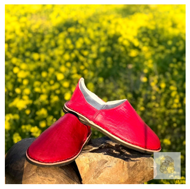 Handmade Moroccan Leather Babouches – Premium Artisan Slippers | Haytato